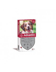 PIPETA ADVANTIX 10-25KG