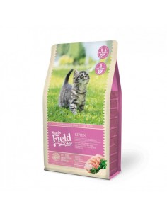 SAM'S FEILD CAT KITTEN