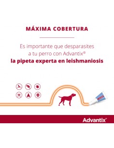 PIPETA ADVANTIX +25KG 2