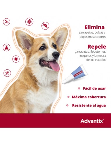 PIPETA ADVANTIX +25KG