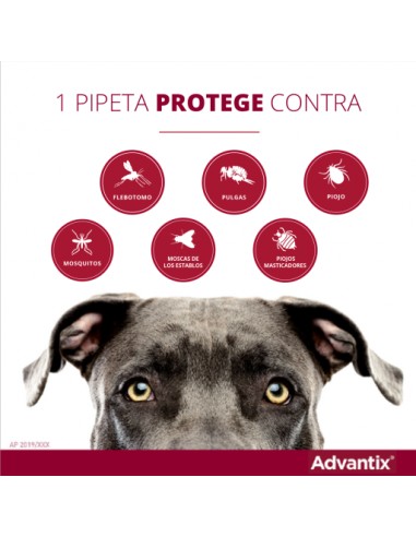 PIPETA ADVANTIX +25KG