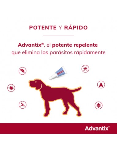 PIPETA ADVANTIX +25KG