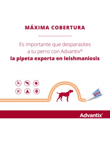 PIPETA ADVANTIX 10-25KG