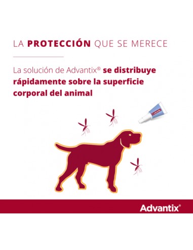 PIPETA ADVANTIX 10-25KG