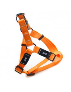 ARNES BULL FLUOR NARANJA