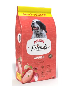 ARION FRIENDS WINNER