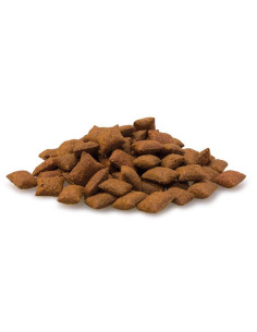 CAT MALT BITS 40G 2