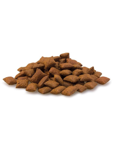 CAT MALT BITS 40G