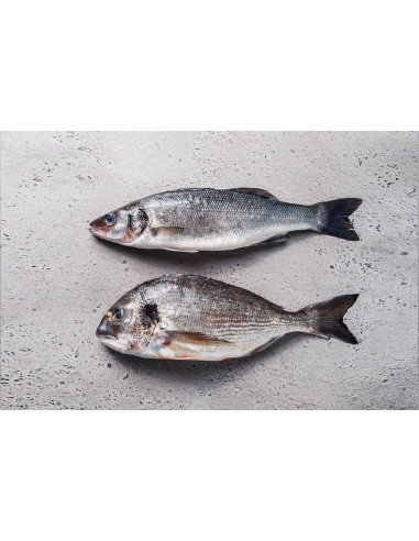 OCEAN Mediterranean Lubina y Dorada