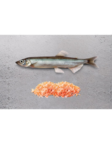 OCEAN Artic pescado Nórdico y Krill