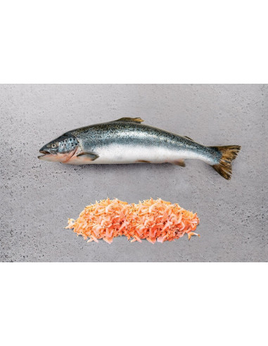 OCEAN Atlantic Salmón y Krill