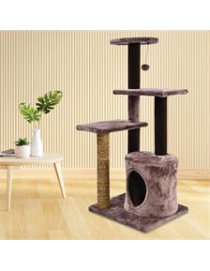 aq RASCADOR FICUS  49x40x102