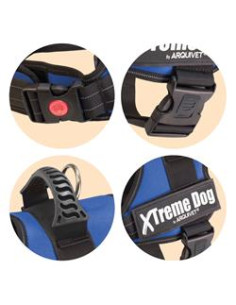 AQ ARNES XTREME DOG AZUL 2