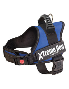 AQ ARNES XTREME DOG AZUL