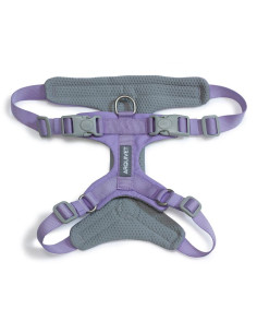 AQ ARNES XT perro ROMA Lila 2