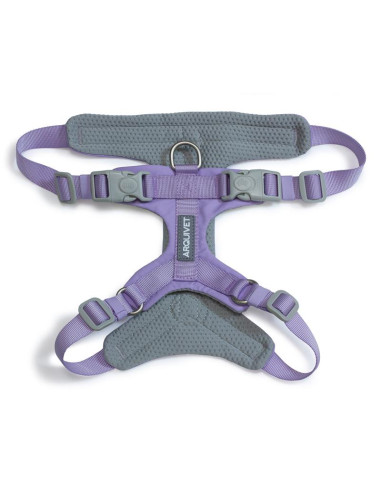 AQ ARNES XT perro ROMA Lila