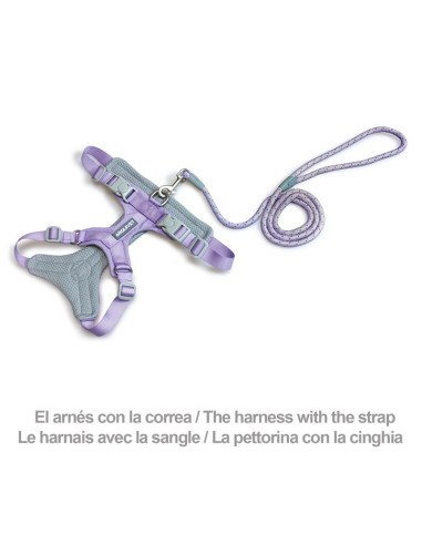 AQ ARNES XT perro ROMA Lila