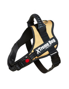 AQ ARNES XTREME DOG caramelo