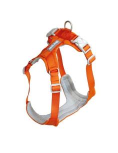 AQ ARNES XT perro ROMA Naranja