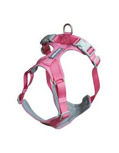 AQ ARNES XT perro ROMA ROSA