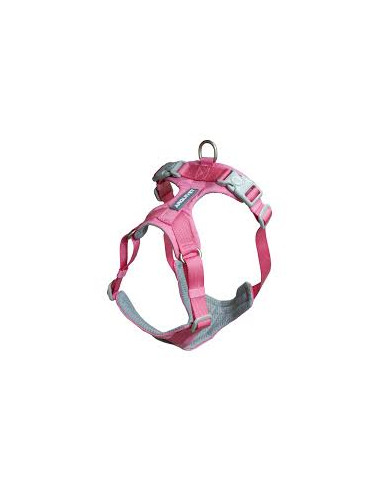 AQ ARNES XT perro ROMA ROSA