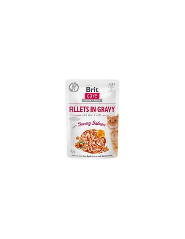 BRIT CARE CAT KITTEN fillets in gravy...