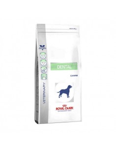 ROYAL CANIN DENTAL ADULTO 6kg
