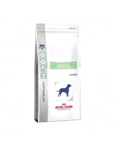 ROYAL CANIN DENTAL ADULTO 6kg