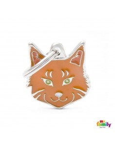 ORANGE MAINE COON NJ